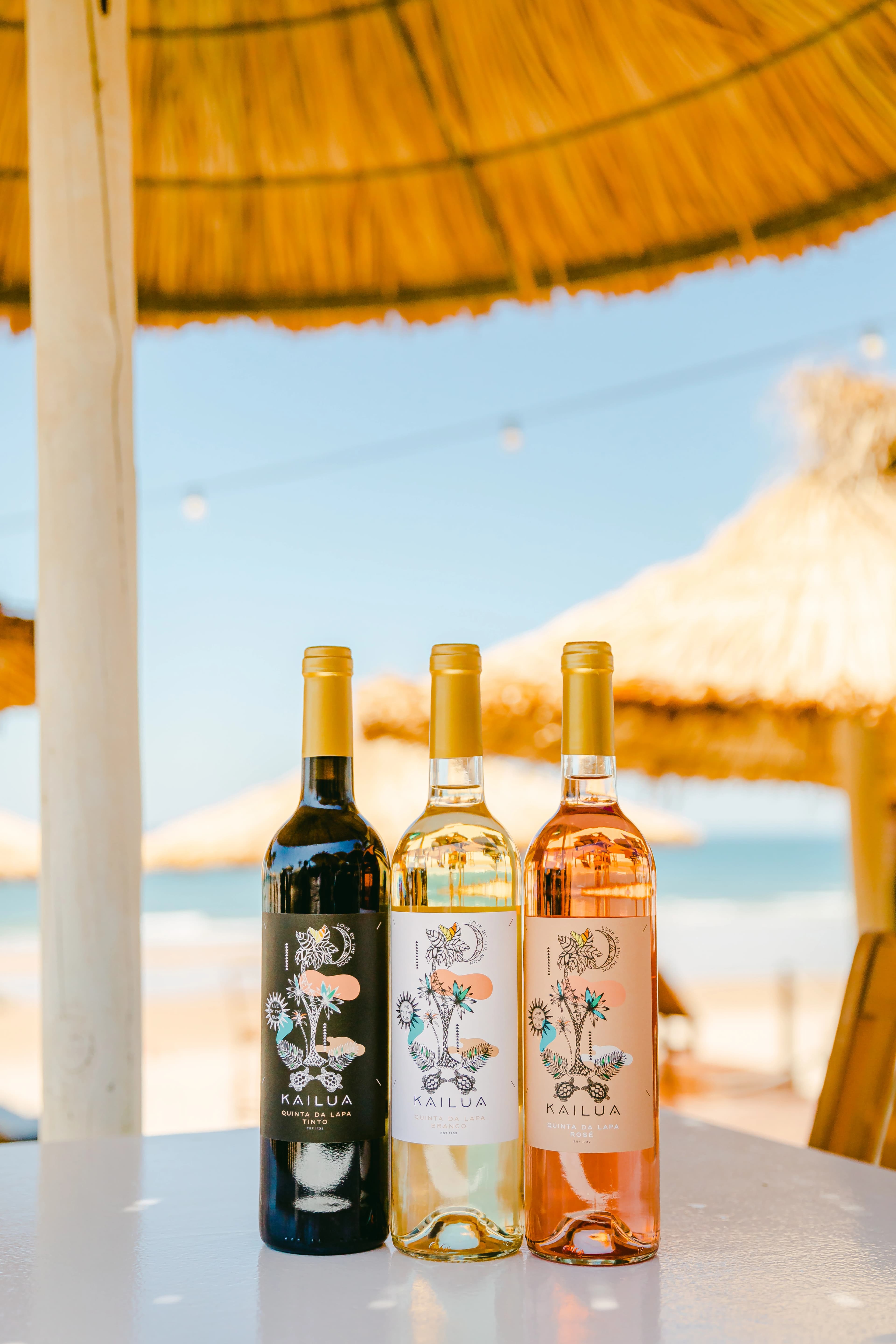 Vinho Kailua Branco view 3