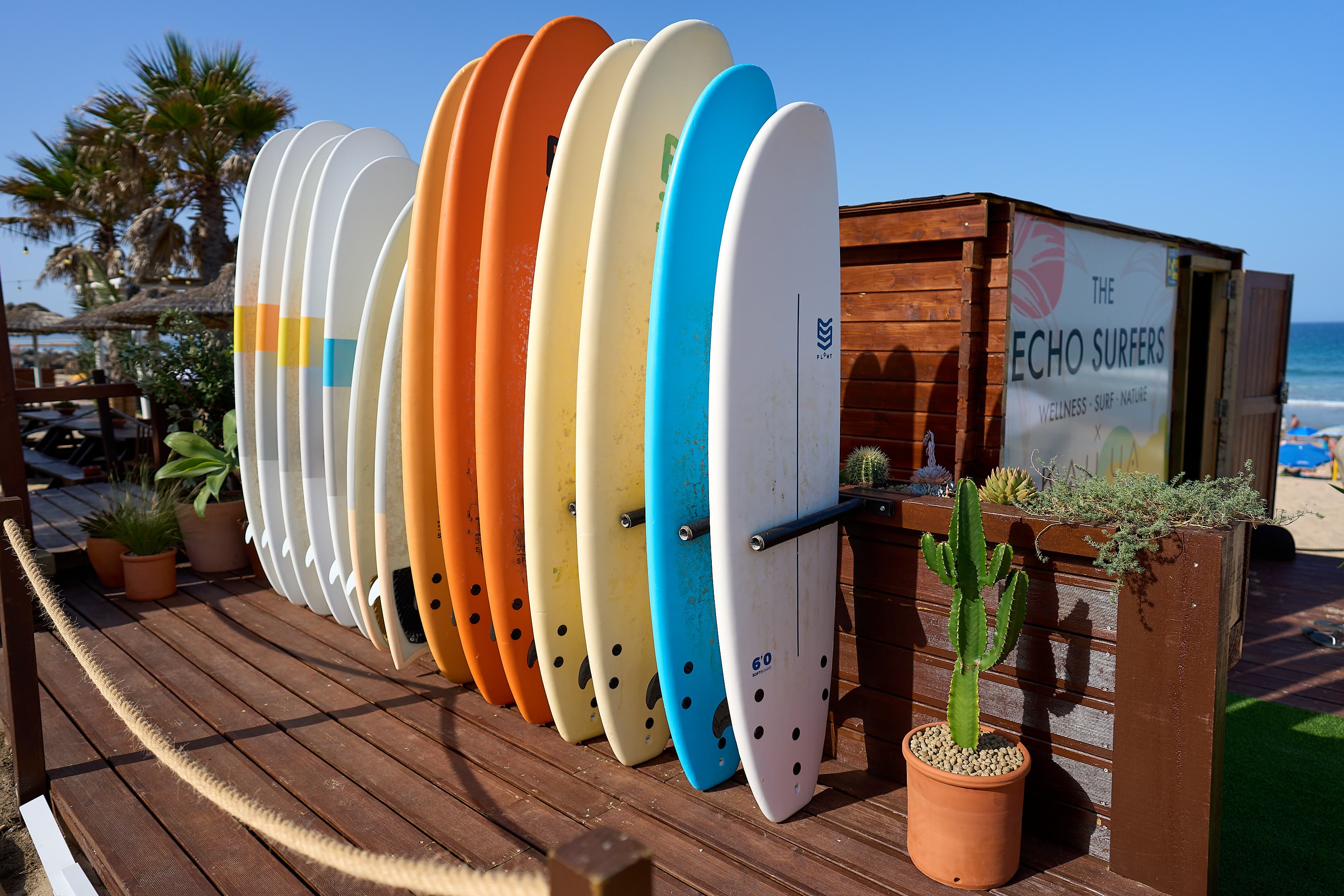 Echo Surfers - praia ao pôr do sol