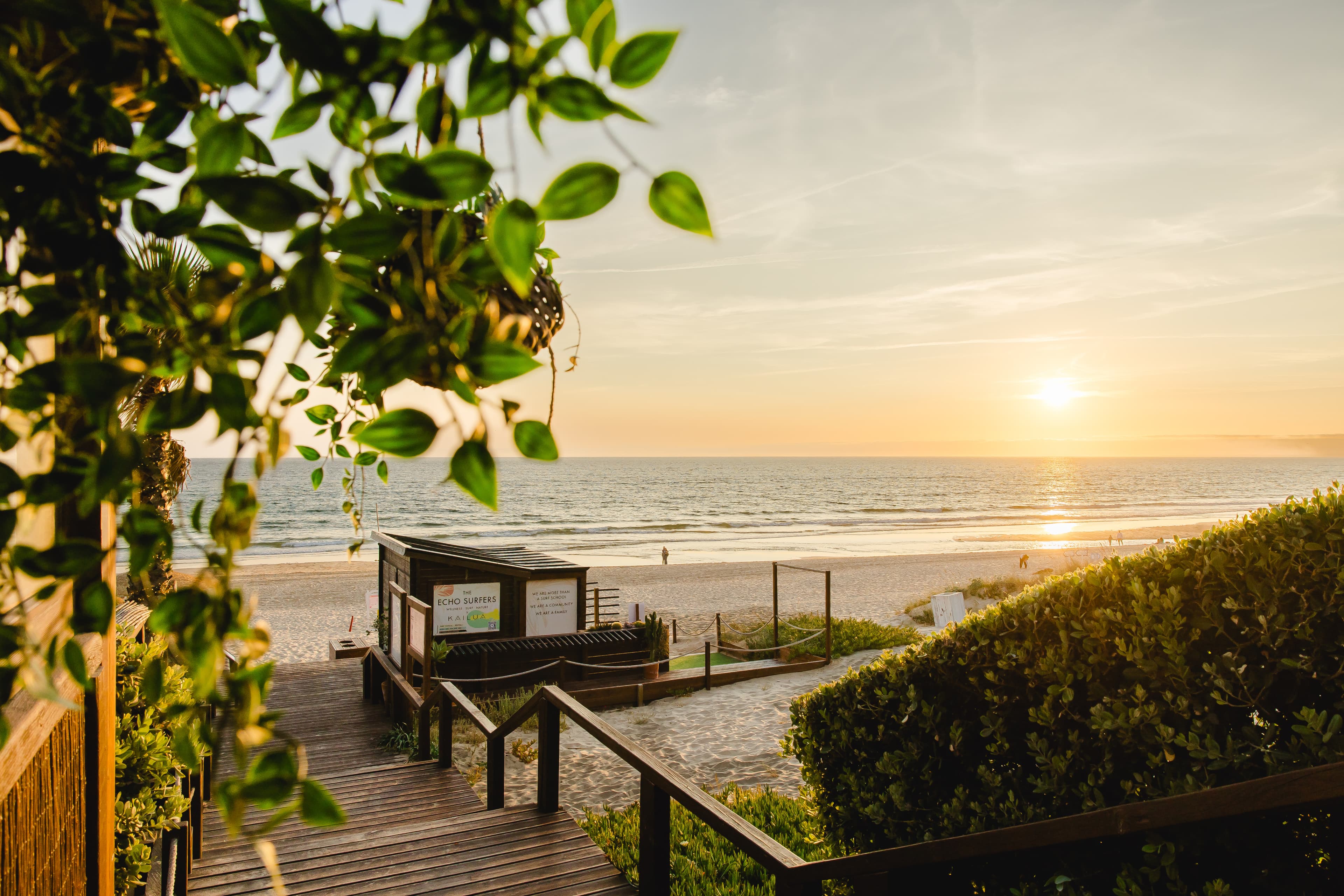 Echo Surfers – Seitenansicht des Strandes